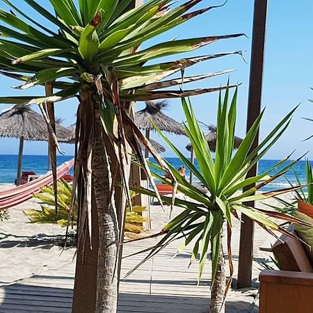 Beau Studio A 1 Minute De La Plage Canet-en-Roussillon Εξωτερικό φωτογραφία